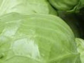 坪地農產品配送 助力深圳生活品質升級