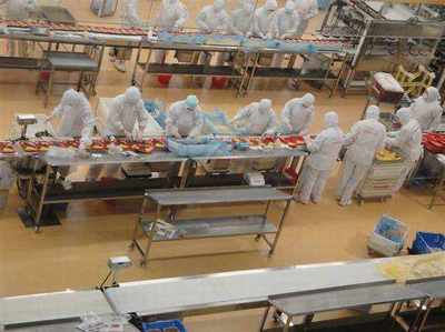 重慶銅梁出國務工 哪些國家農產品領域收入最高？