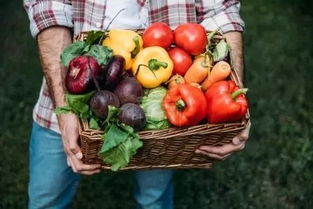 鄉村規劃設計視角下 農產品品牌營銷的十大誤區與新農人啟示