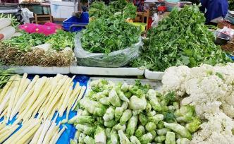 農產品價格 市場波動、影響因素與未來展望